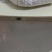 葛根粉
