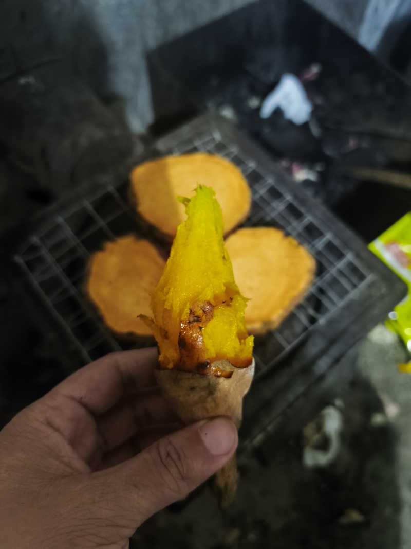 烟薯25