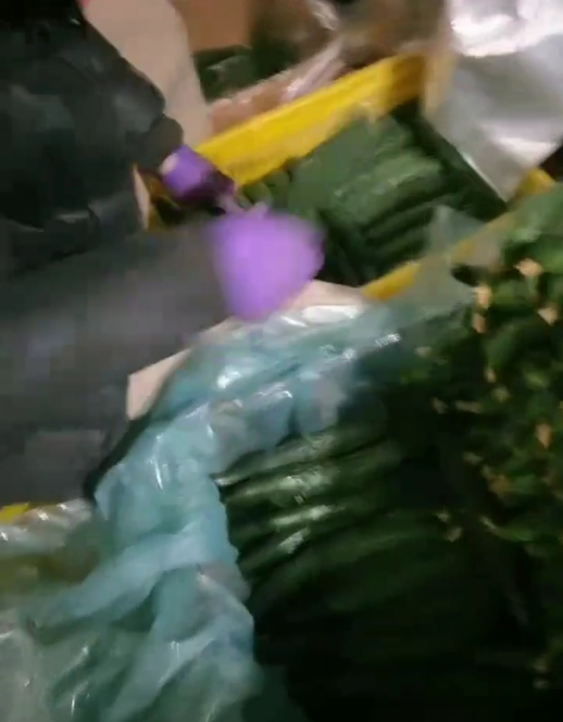 大荔密刺黄瓜陕西黄瓜带刺，电商货！价格合理需要联系我，
