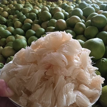 湖南江永香柚