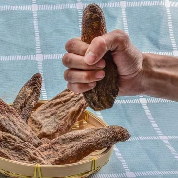 新疆肉苁蓉