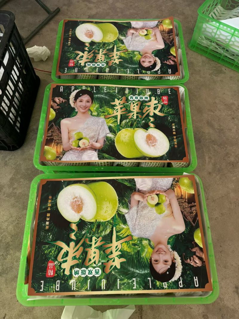 云南西双版纳苹果枣