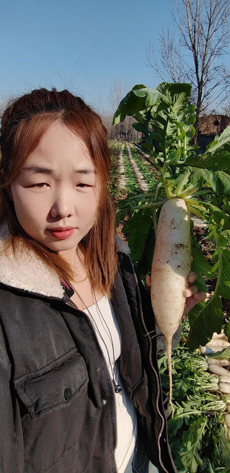 土萝卜净萝卜都有