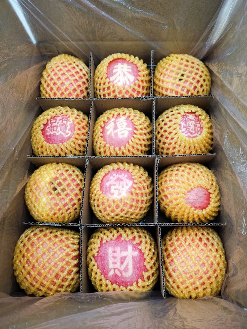 甘肃静宁红富士，通渭红富士苹果