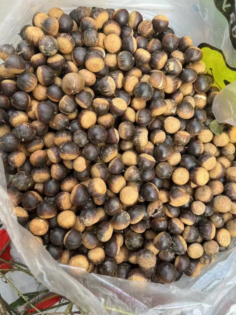 感谢九江，湖南，广东，广西，浙江的老板支持我家的纯野生的金子