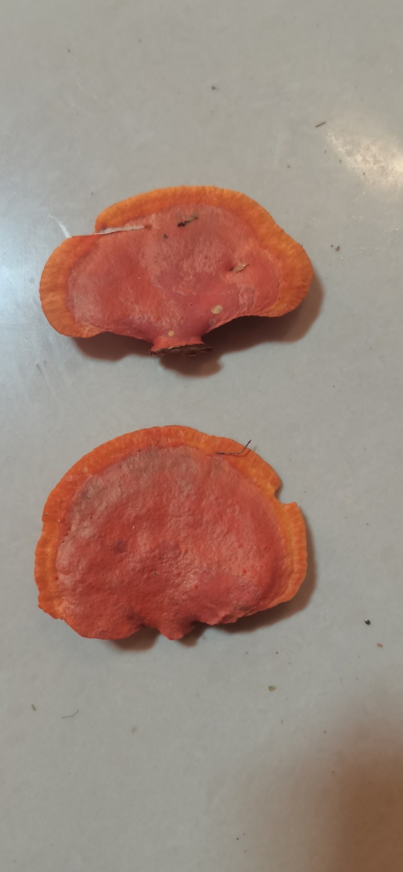 感谢九江，湖南，广东，广西，浙江的老板支持我家的纯野生的金子