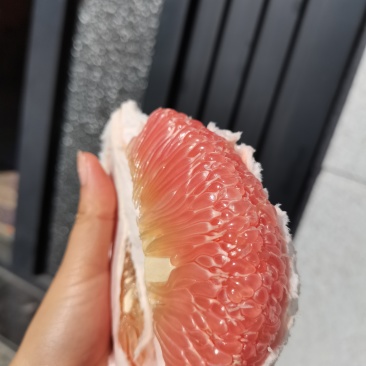 广丰马家柚