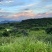 有机、富硒山茶籽油