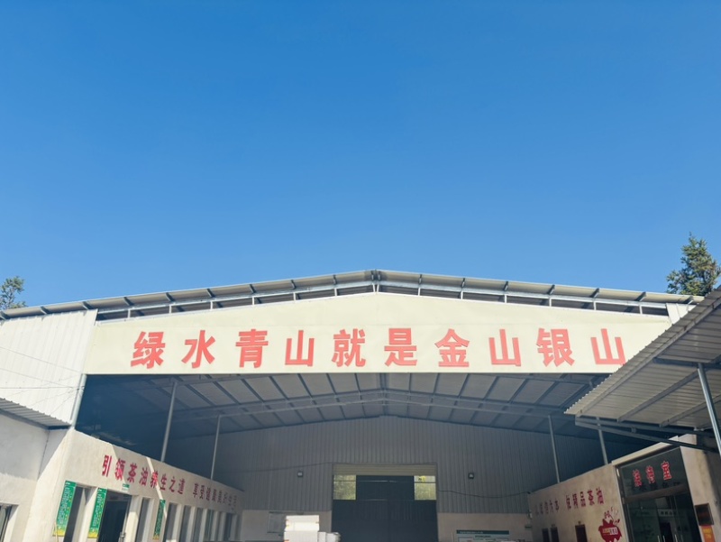 有机、富硒山茶籽油
