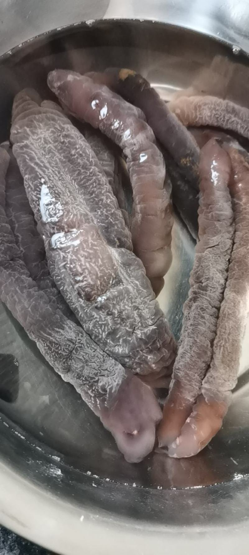 去皮东海大乌参，海番薯，海茄子