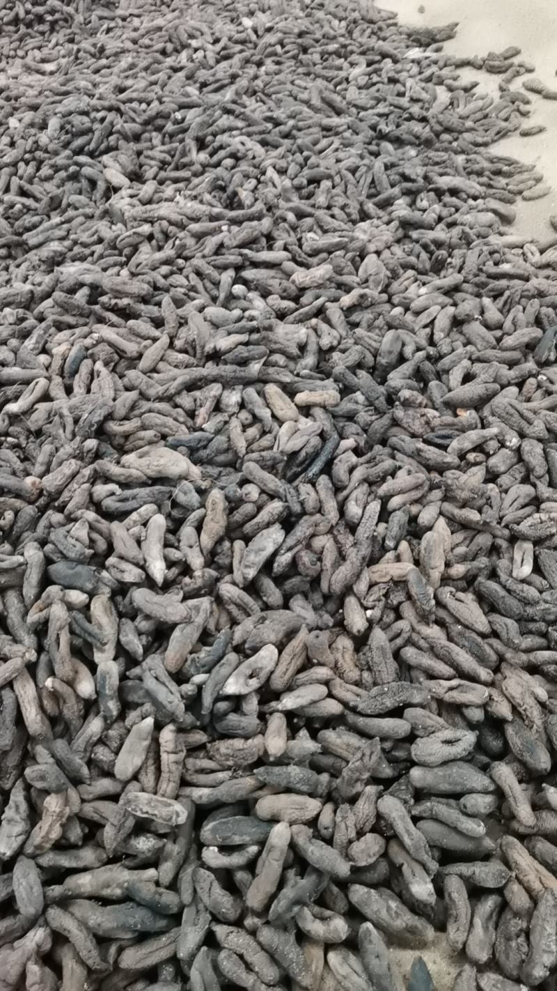 去皮东海大乌参，海番薯，海茄子