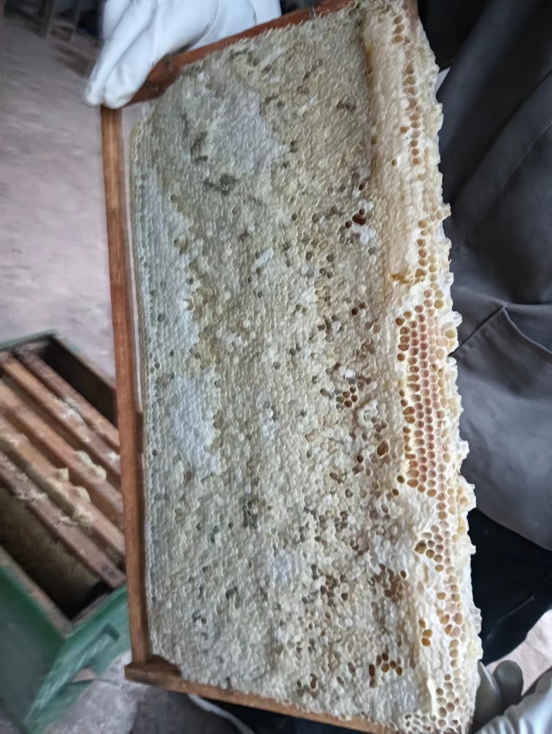 土蜂蜜
