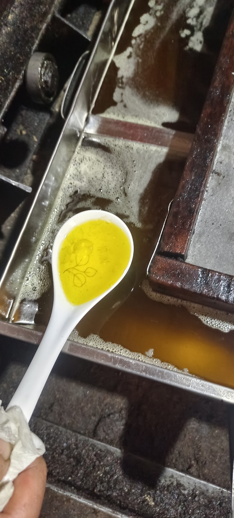 高山茶油