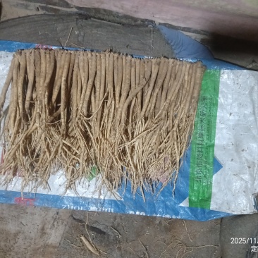 甘肃白条党参干货，大小不一，价格不一