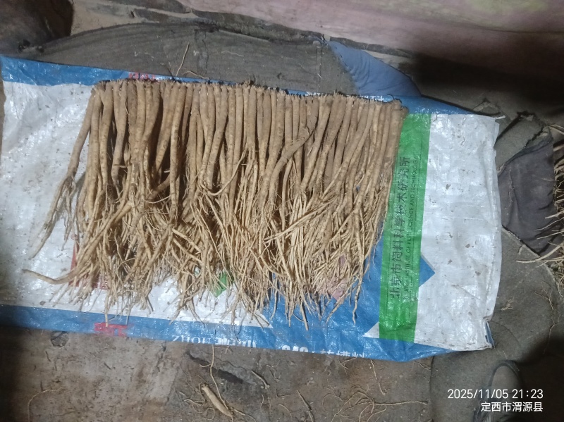 甘肃白条党参干货，大小不一，价格不一