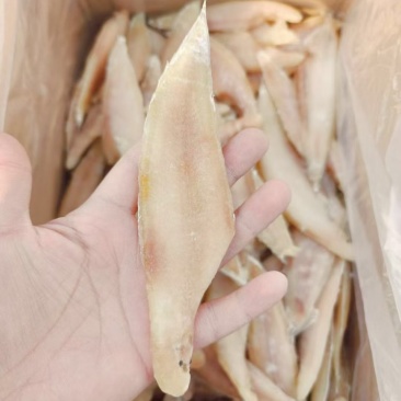 龙利鱼