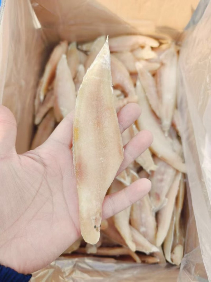 龙利鱼