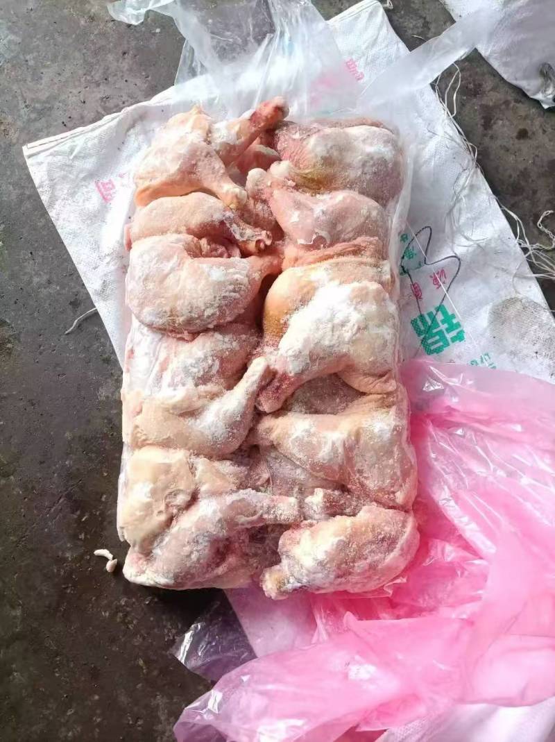 二级肉鸡排腿，东北发货质量保证价格便宜