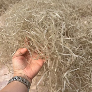 红薯粉丝，今天刚出来的正宗的不要不要，纯手工