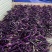 新鲜红线茄产地直采供应，精品一级二级通货，箱装袋装