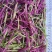 萝卜丝萝卜条