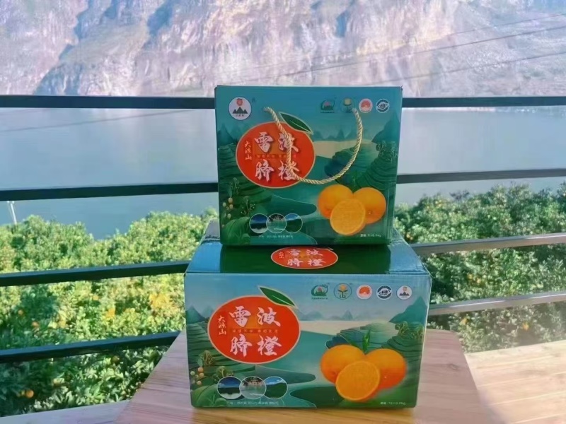 大凉山雷波脐橙