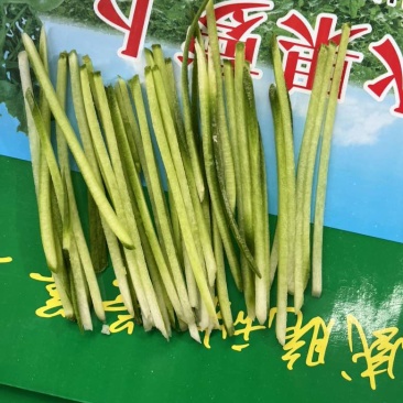 萝卜丝出