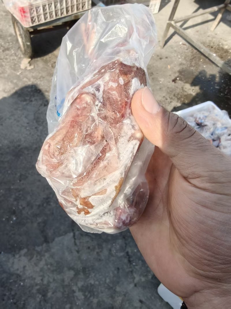 一级二级冻鸽