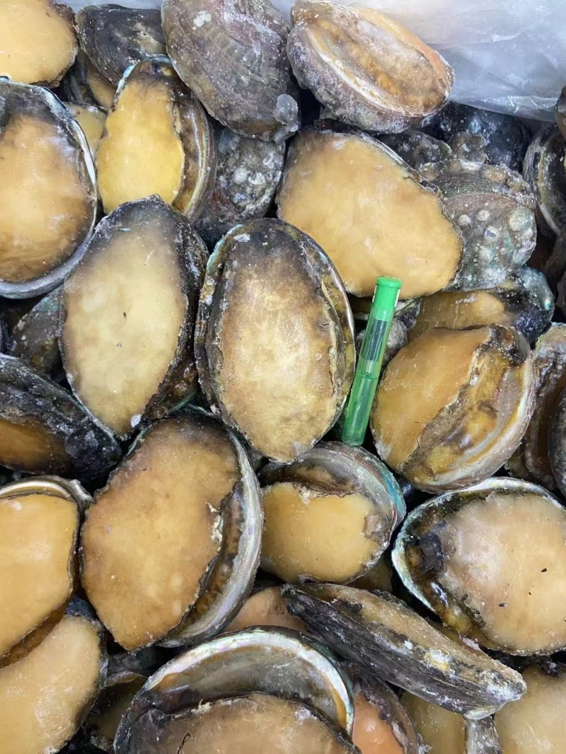 威海鲍鱼8头，42