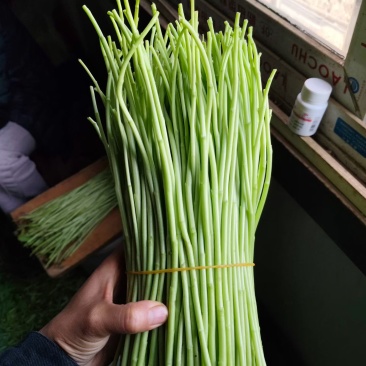 精品已上线还不来把它带走