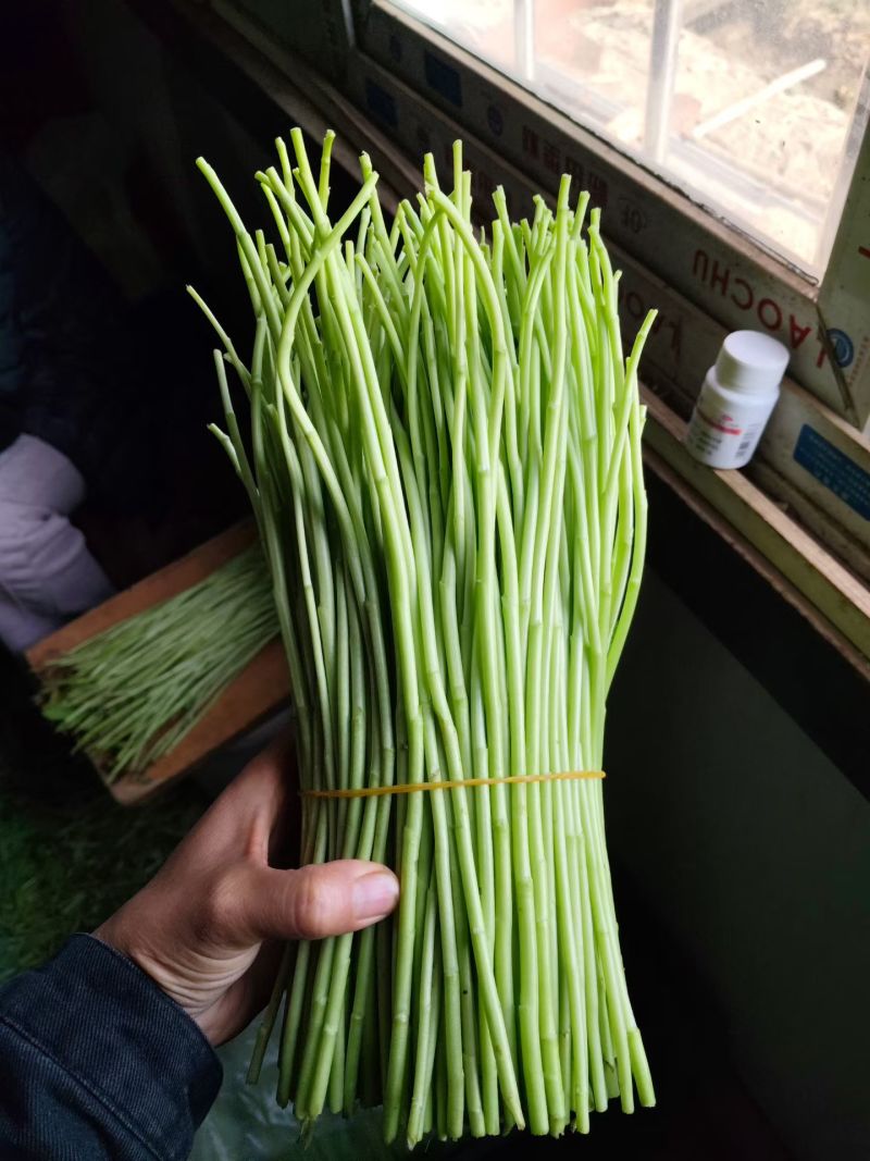 精品已上线还不来把它带走