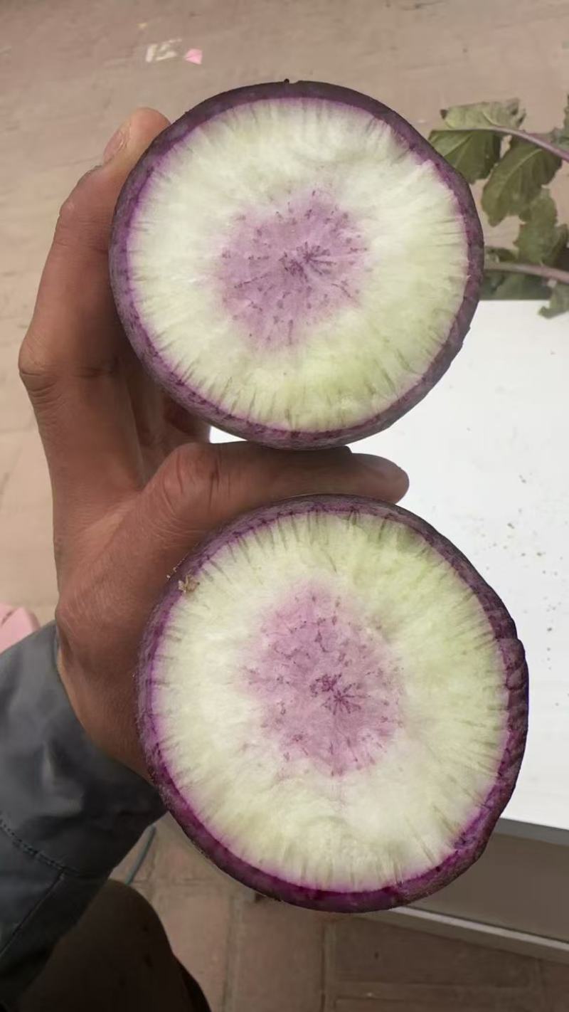 冰激凌罗卜，口感脆甜，能当水果吃。