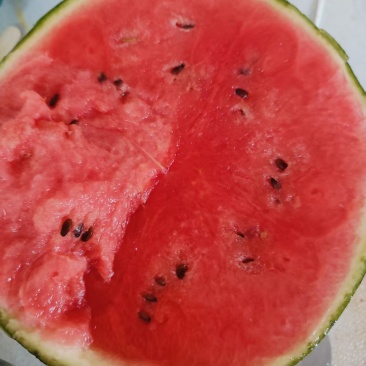 冰糖子小西瓜口感好，脆甜，糖度高，小薄皮