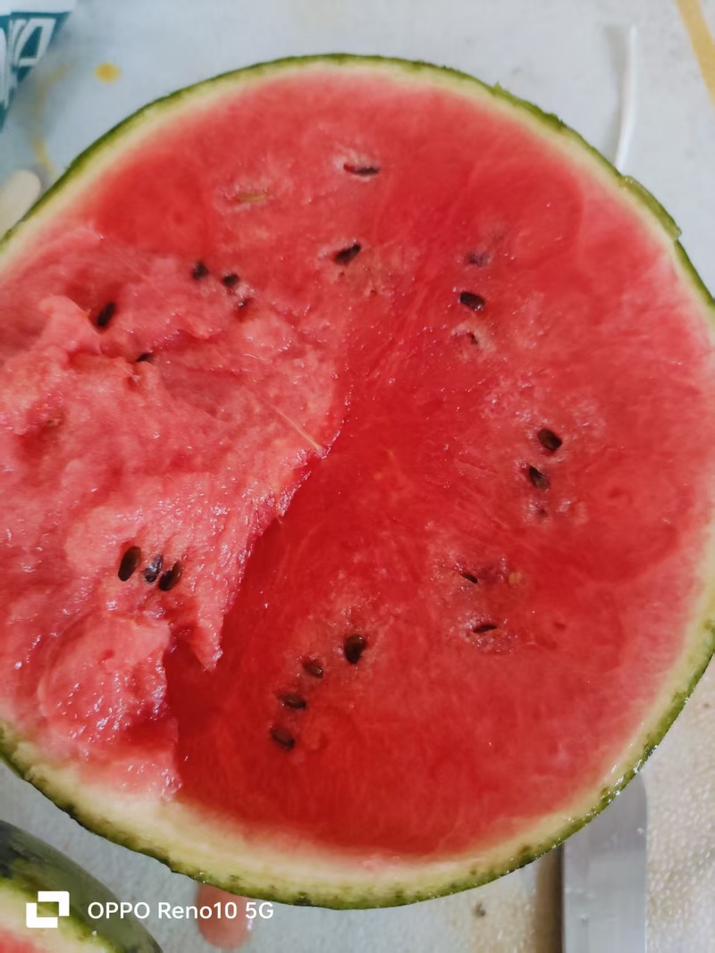 冰糖子小西瓜口感好，脆甜，糖度高，小薄皮