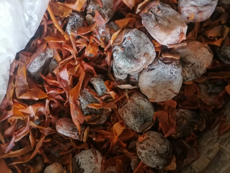 上霜吊柿饼