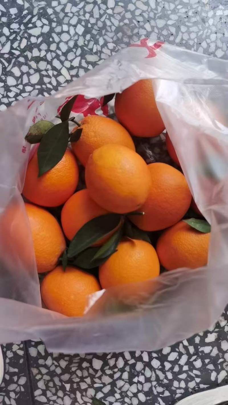 橙子