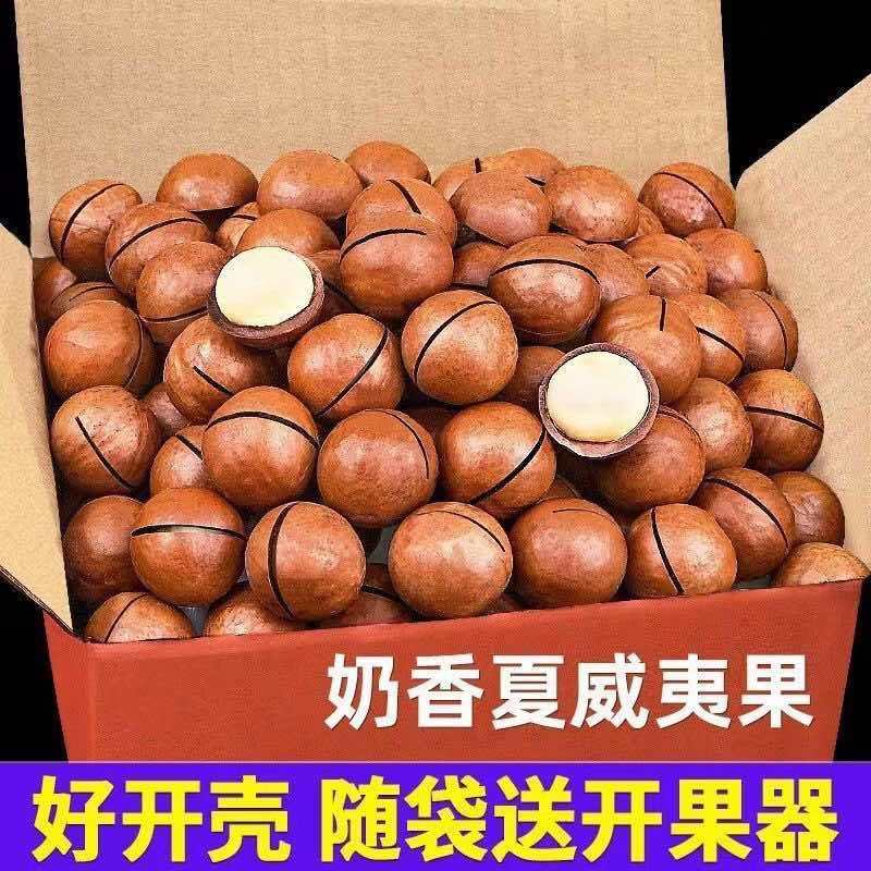 夏威夷果