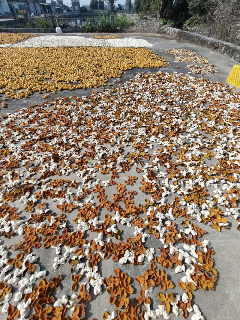 正宗新会陈皮今年新皮三年皮六年皮七年皮