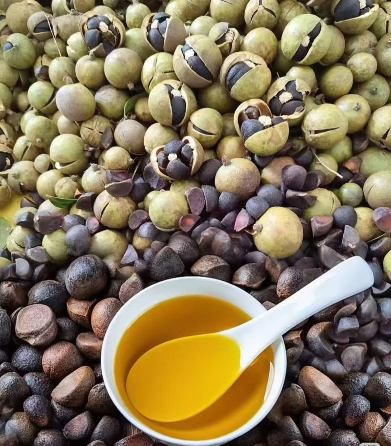 广西茶籽油。自己家种的