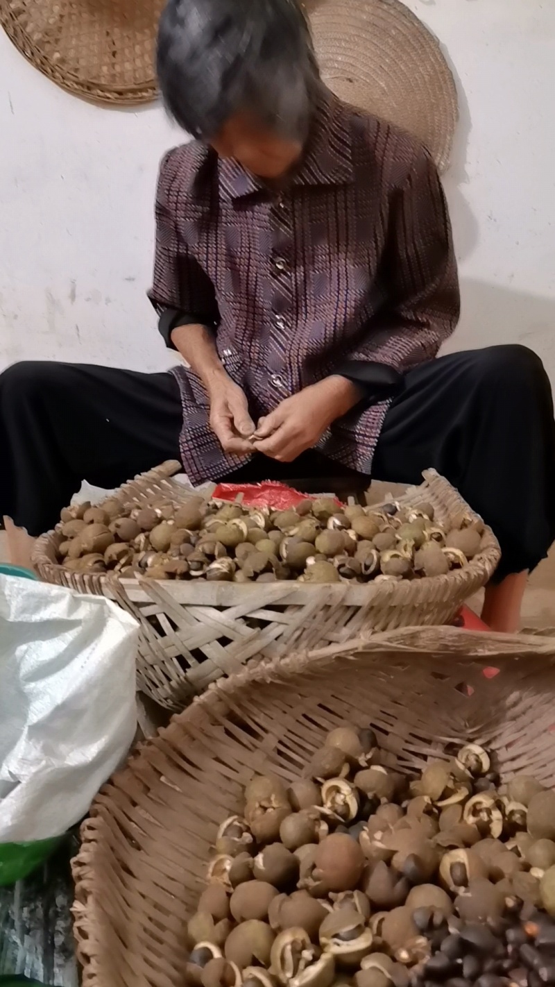 广西茶籽油。自己家种的