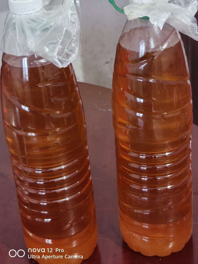 广西茶籽油。自己家种的