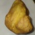 鸡宝