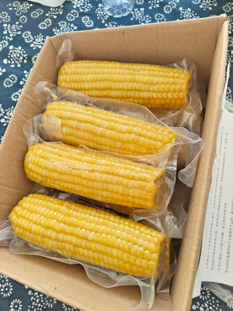 鲜食玉米