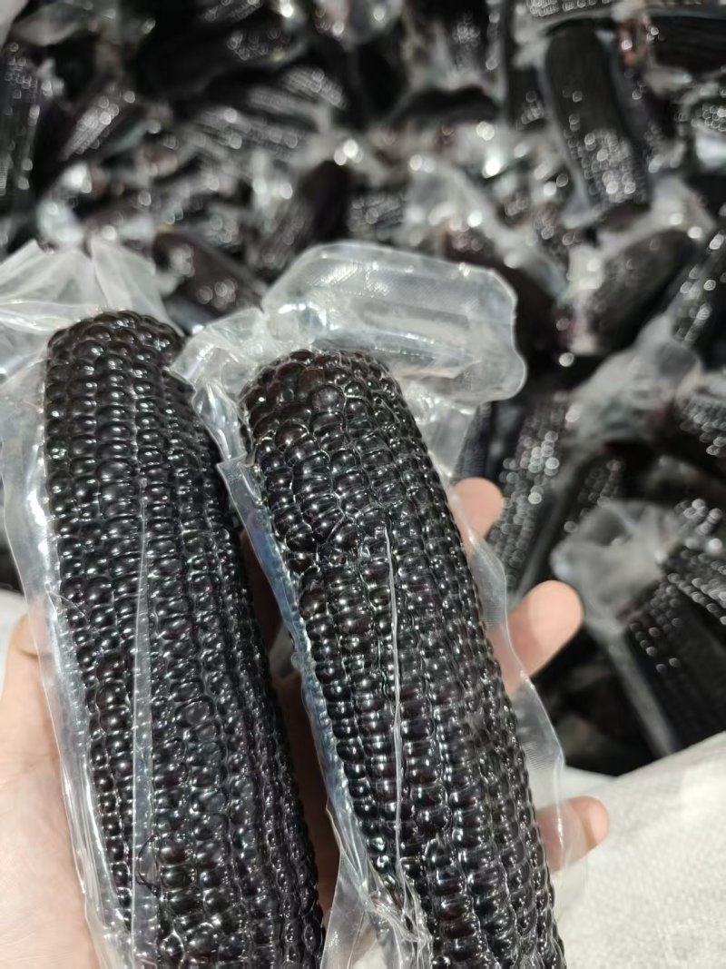 鲜食玉米