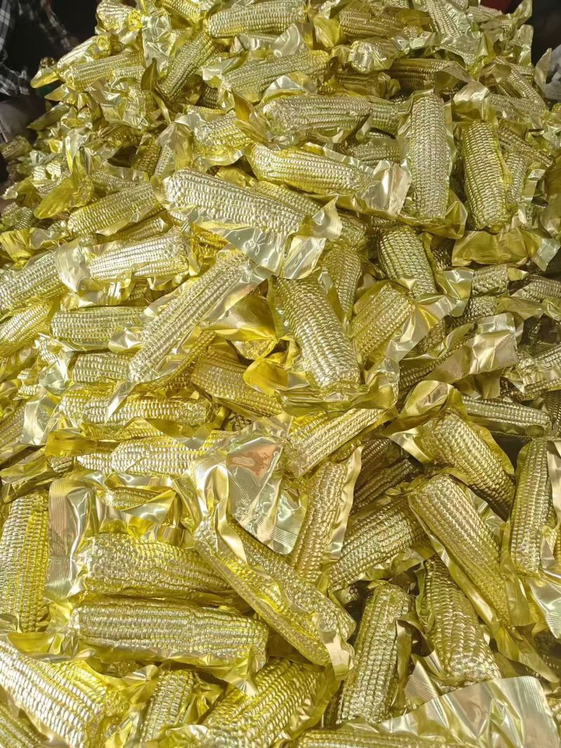 鲜食玉米