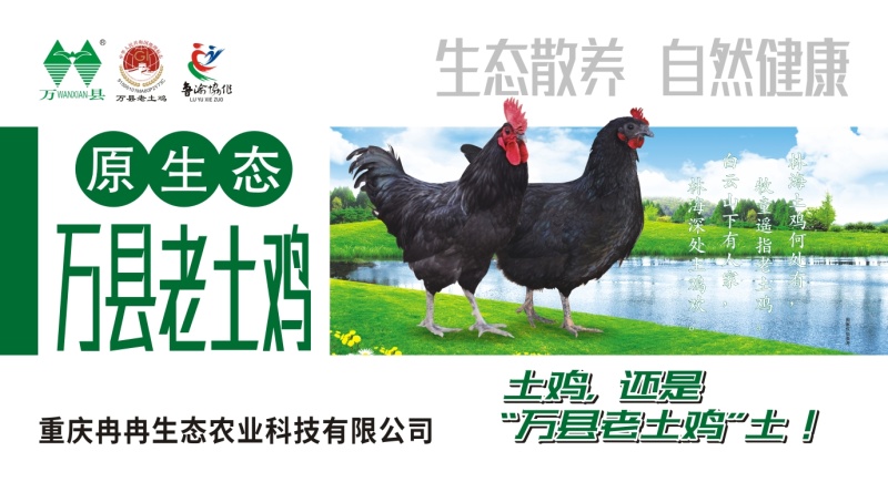 万县老土鸡，万县老土鸡蛋