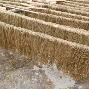 红薯粉丝