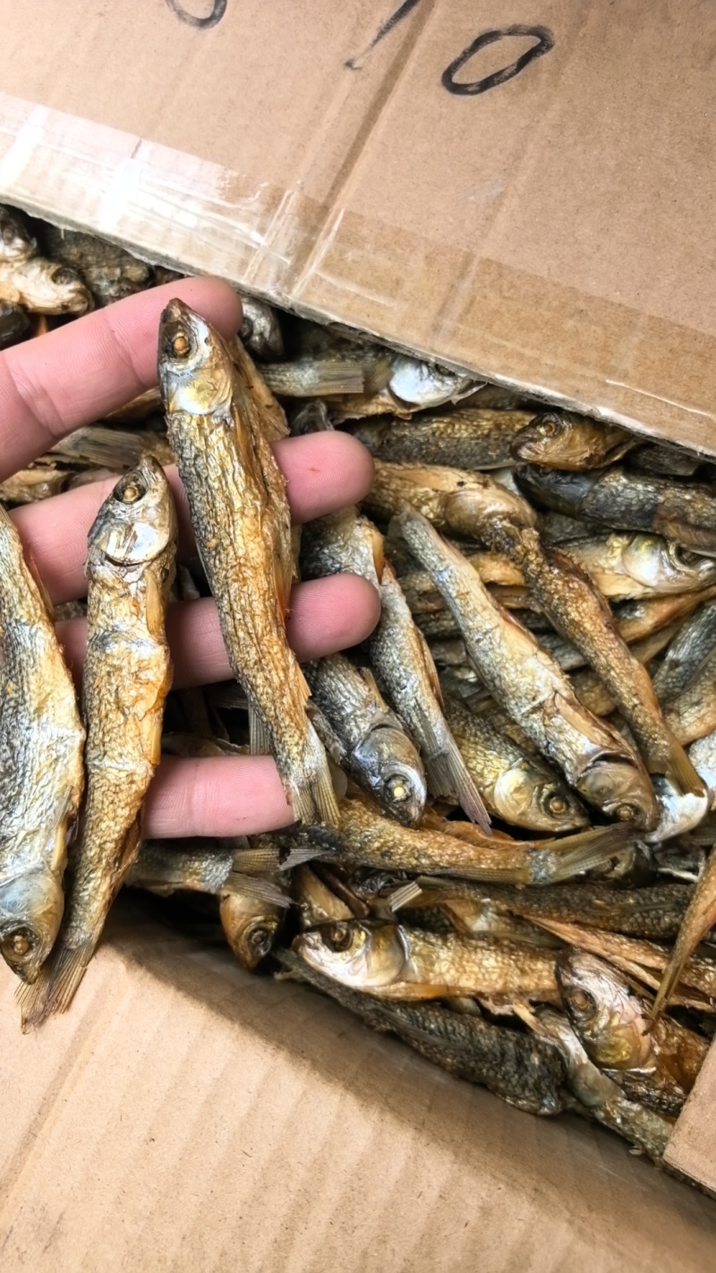 湖南特产东江鱼