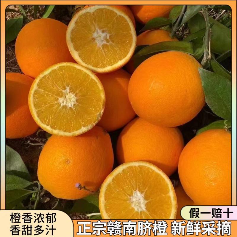 正宗赣南脐橙不催熟不打腊自家种植现摘现发