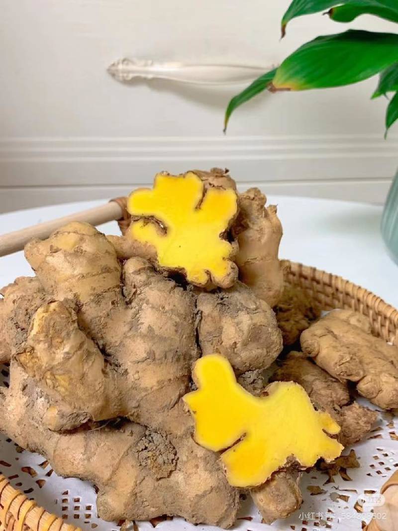 老姜头姜母